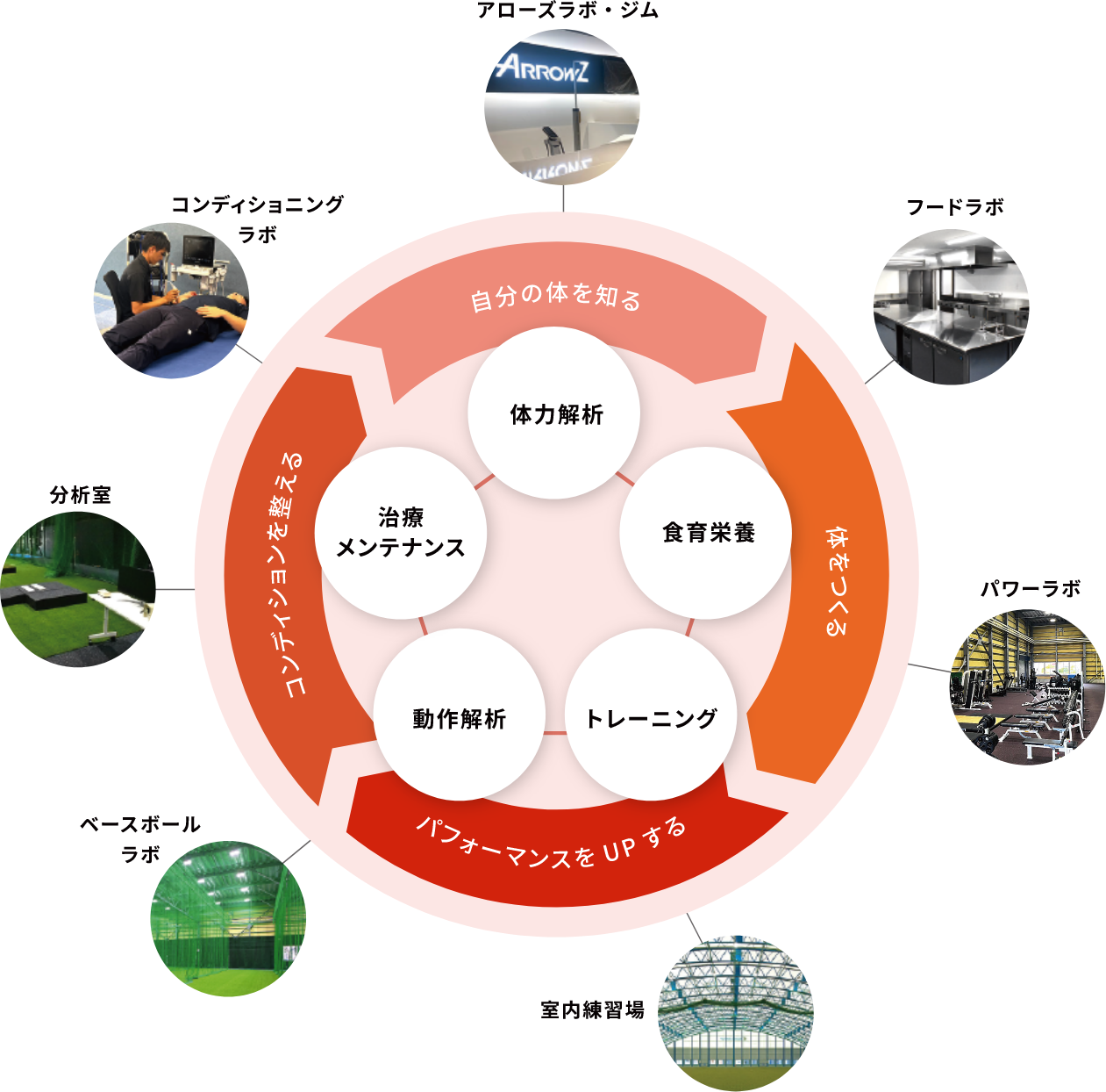エイジェックスポーツ科学総合センターの概要図